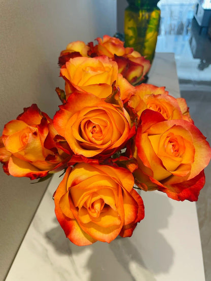 Rose  ' Golden Celebration| きんき | 金辉 ' -New variety