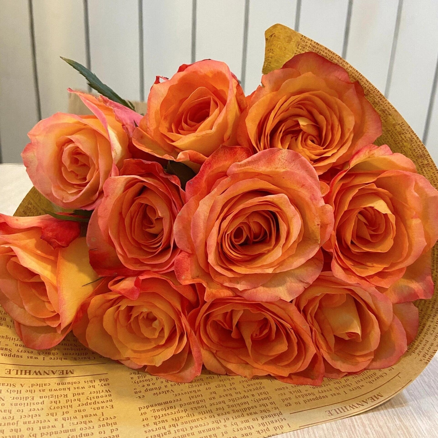 Rose  ' Golden Celebration| きんき | 金辉 ' -New variety